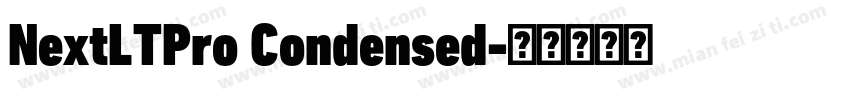 NextLTPro Condensed字体转换